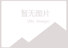 莱山区初夏金属有限公司